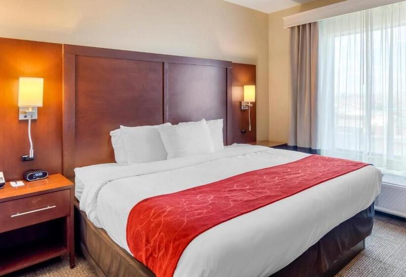 身障者適用スイートルーム, Comfort Suites St George  University Area