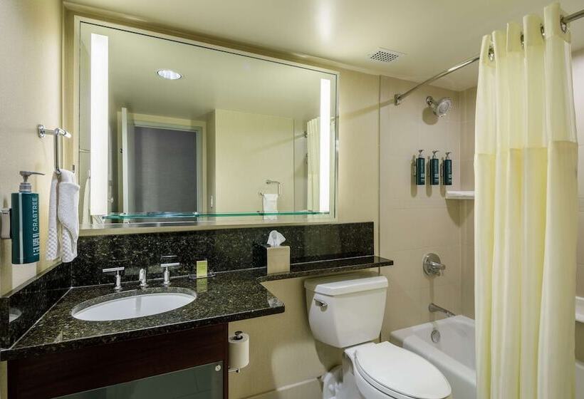 ダブルベッドスタンダードルーム, Doubletree By Hilton Hotel Denver