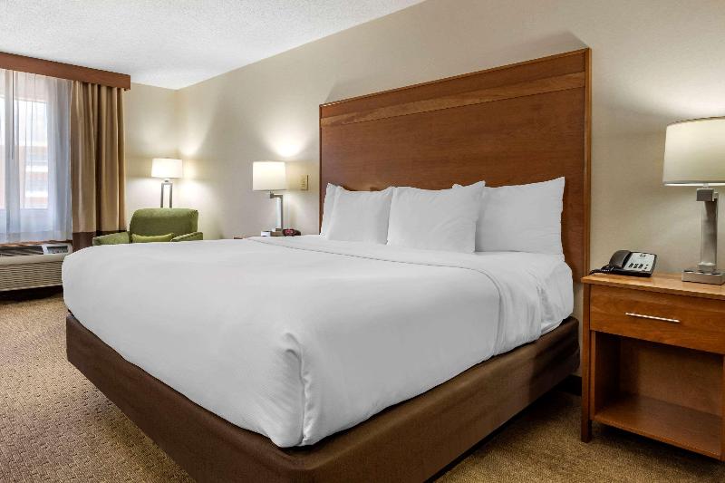 キングサイズベッドのスタンダードルーム, Doubletree By Hilton Hotel Denver