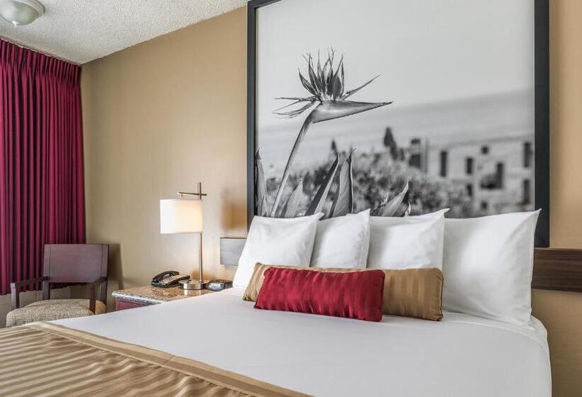 Pokój Standard, Kings Inn Anaheim At The Park & Convention Center