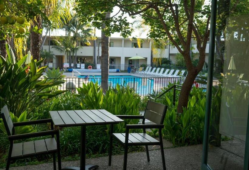 Номер Deluxe Кровать Кинг, Lemon Tree Inn