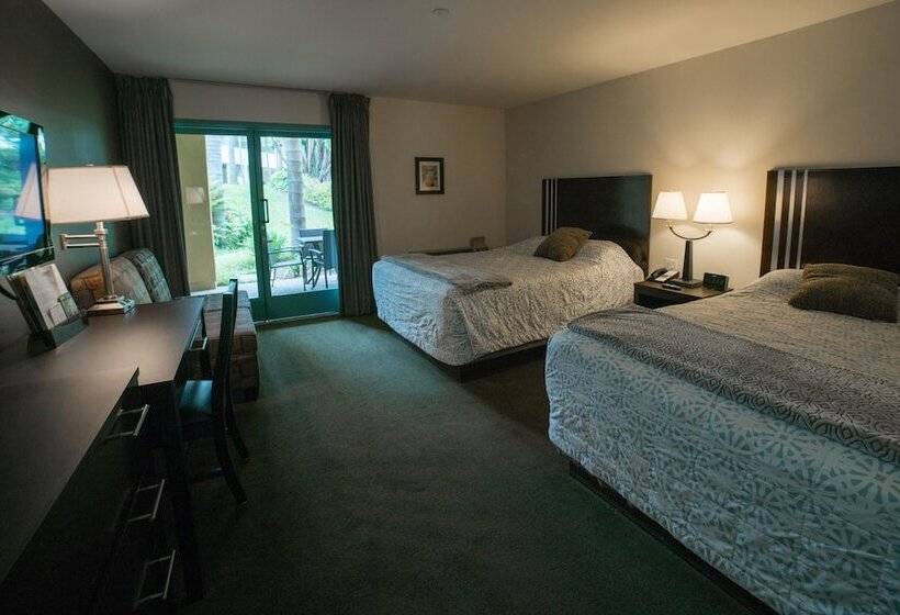 Номер Deluxe, Lemon Tree Inn