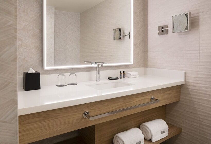 חדר דלוקס נוף לעיר, The Westin Denver Downtown
