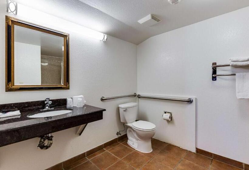 キングサイズベッドのスタンダードルーム, Motel 6 San Jose, Ca   Convention Center