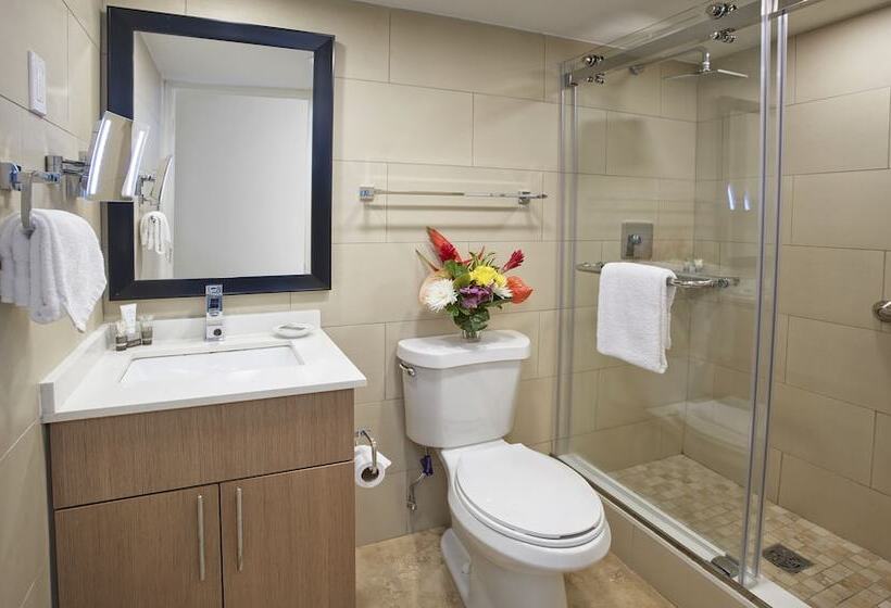 Люкс 2 Спальни, Divi Southwinds Beach Resort
