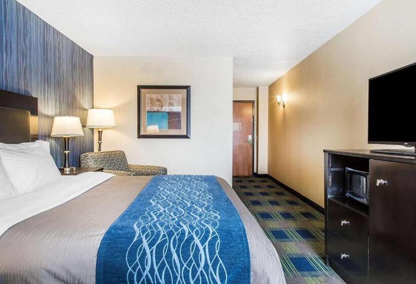 스탠다드 룸 킹사이즈 침대, Comfort Inn & Suites