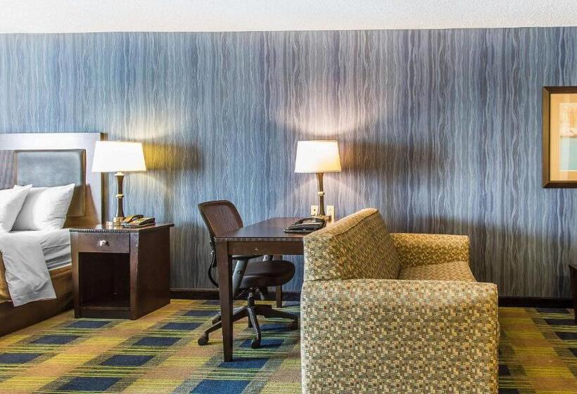 비즈니스룸, Comfort Inn & Suites