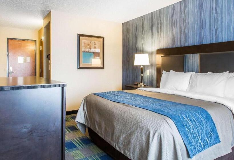 장애인을 위한 킹사이즈 침대 스탠다드 룸, Comfort Inn & Suites