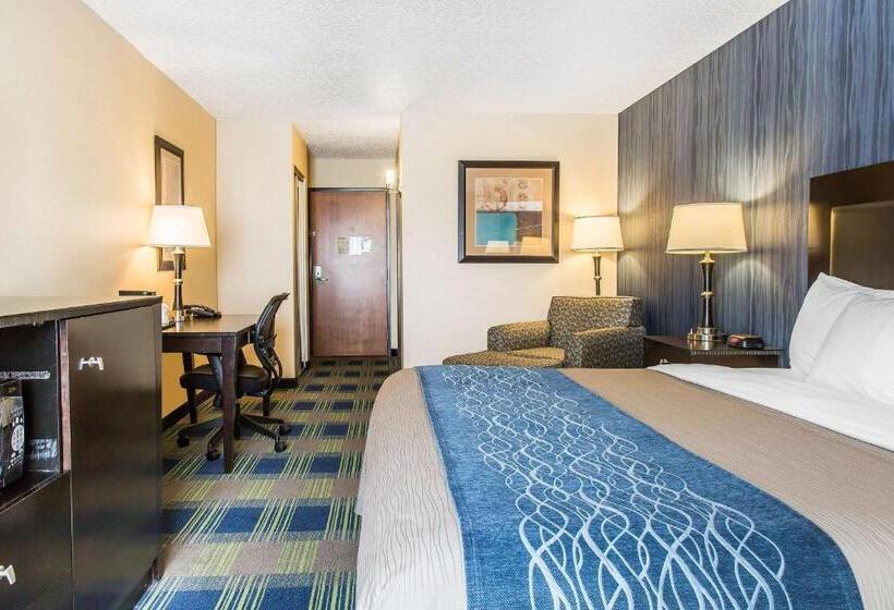 장애인을 위한 킹사이즈 침대 스탠다드 룸, Comfort Inn & Suites