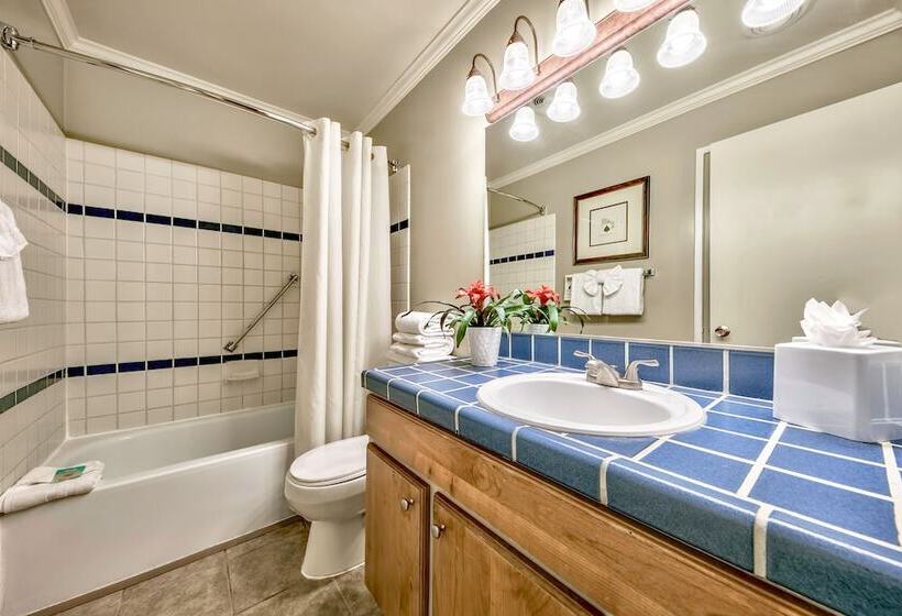 Люкс Deluxe 2 Спальни, Forest Suites Resort At The Heavenly Village
