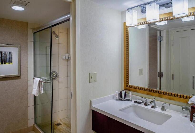 Номер Стандарт, Marriott St. Louis West