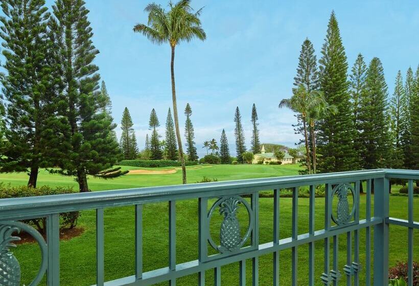 Люкс Клуб, The Ritz Carlton Maui, Kapalua