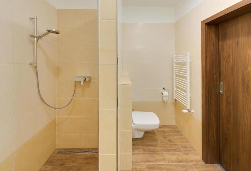 آپارتمان 1 خوابه با بالکن, Congress Hotel Centrum