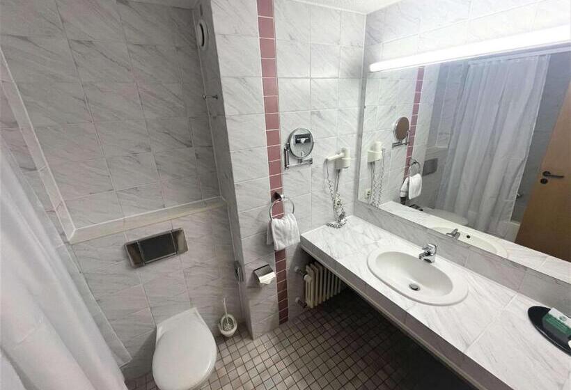 Стандартный Номер Кровать Кинг, Best Western Parkhotel Brehna-Halle