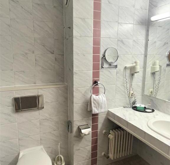 Стандартный Номер Кровать Кинг, Best Western Parkhotel Brehna-Halle