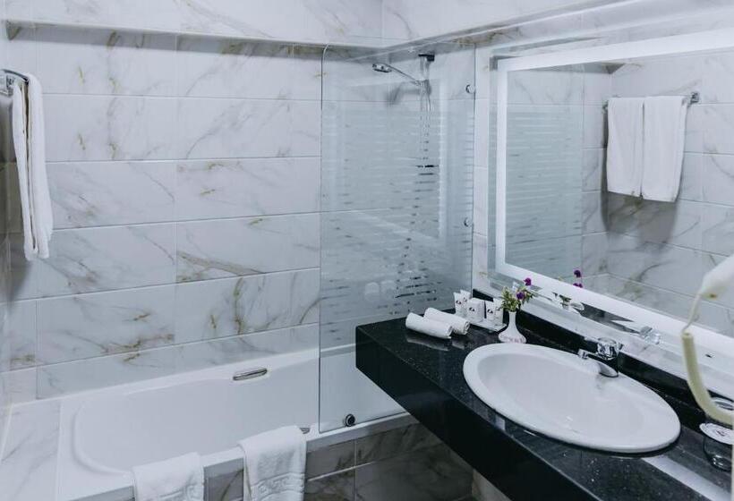 اتاق اکونومی, Basma Hotel Aswan