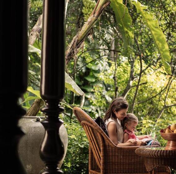 آپارتمان 1 خوابه, Four Seasons Resort Chiang Mai