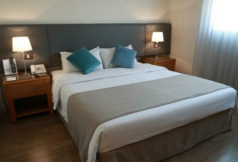 اتاق استاندارد با تخت بزرگ, Alqasr Metropole