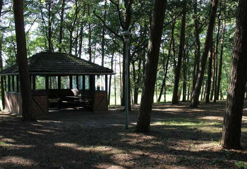 Четырехместный Номер Стандарт, Hostel Schweriner See