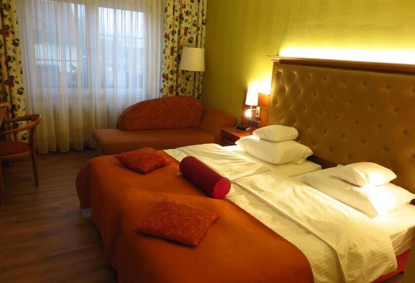 스탠다드 싱글 룸, Ringhotel Hotel Zum Stein