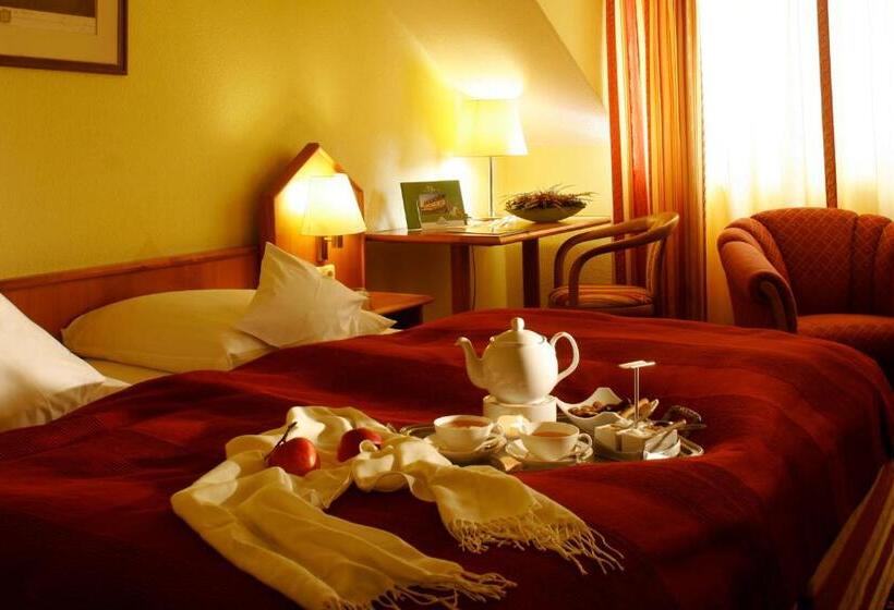 스탠다드 싱글 룸, Ringhotel Hotel Zum Stein