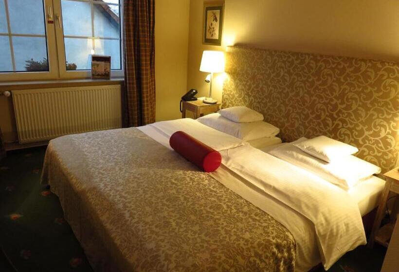 스탠다드 룸, Ringhotel Hotel Zum Stein