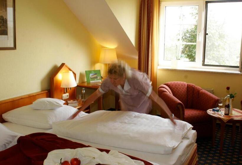 스탠다드 룸, Ringhotel Hotel Zum Stein