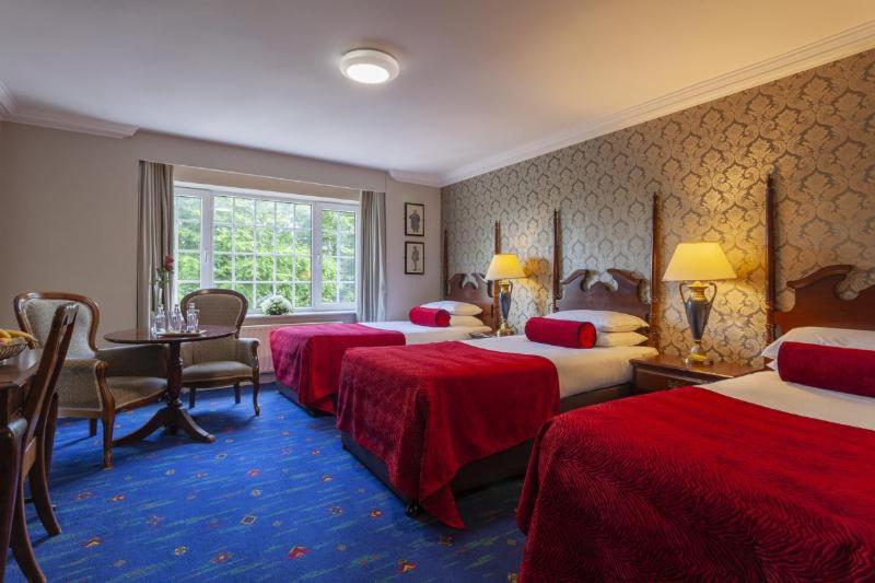 Номер Стандарт, Killarney Randles