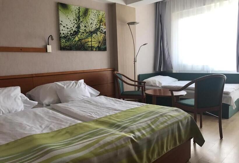 Номер Стандарт Трехместный, Panoráma