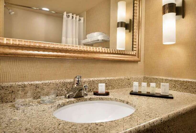 스위트, Embassy Suites Hotel Des Moines Downtown