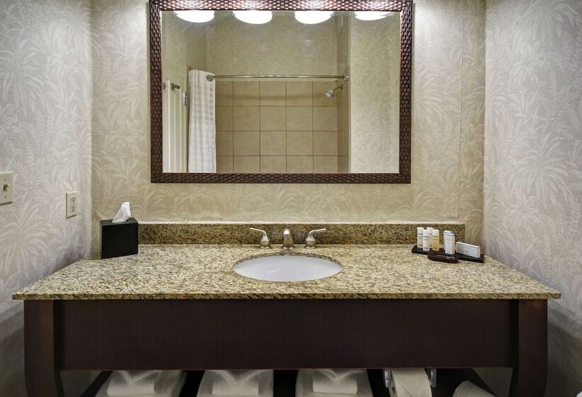 جناح لذوى الاحتياجات الخاصة, Embassy Suites By Hilton Charleston Historic District