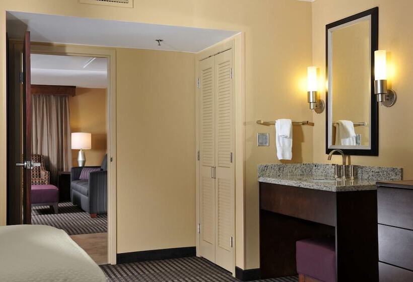 스위트, Embassy Suites Hotel Des Moines Downtown