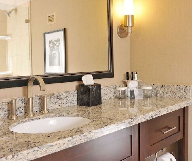 장애인을 위한 스위트, Embassy Suites Hotel Des Moines Downtown
