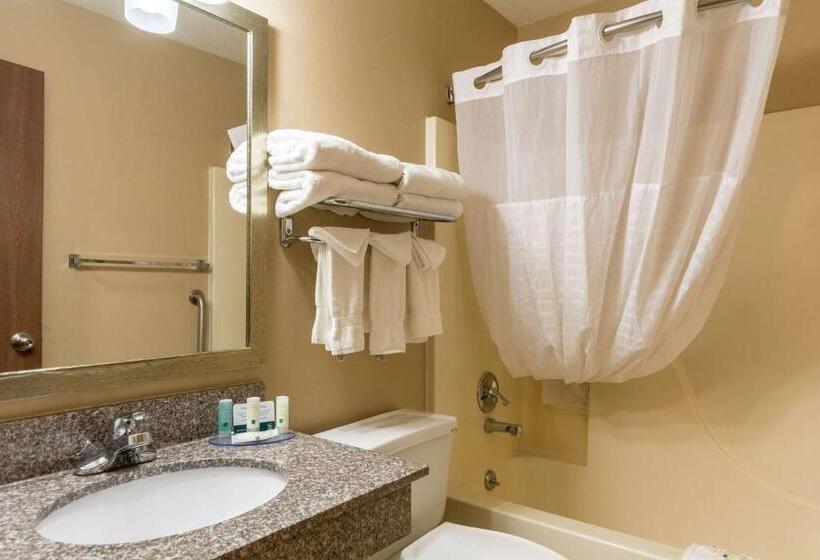 Quarto Estandar 2 Camas Casal, Quality Inn I 74 Batesville