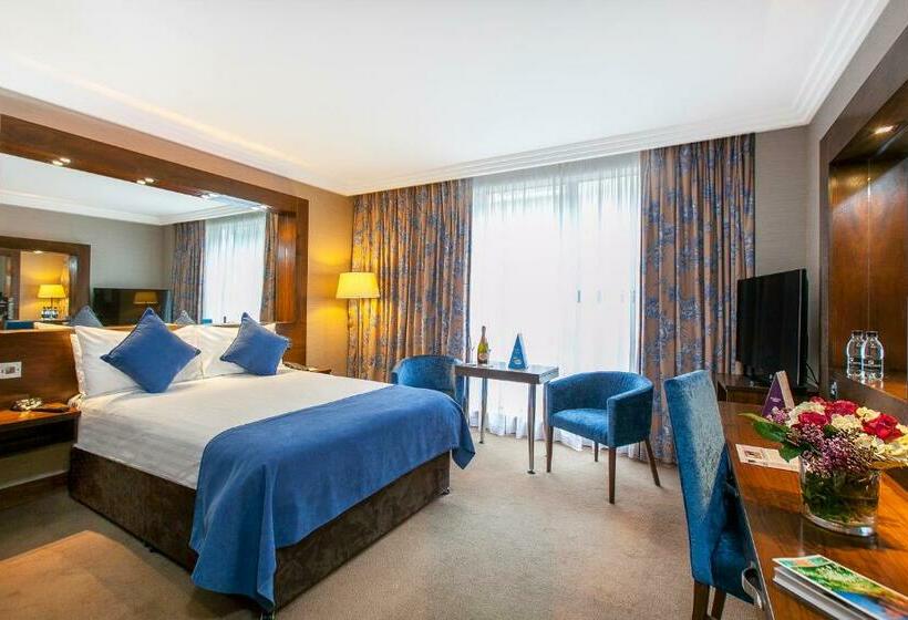 수피리어 룸, Ashling Hotel Dublin