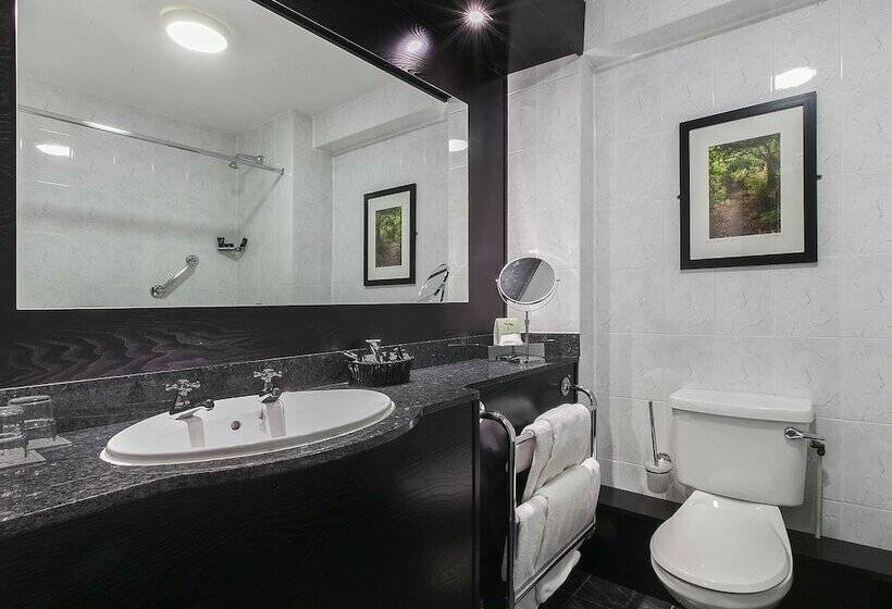 수피리어 룸, Ashling Hotel Dublin