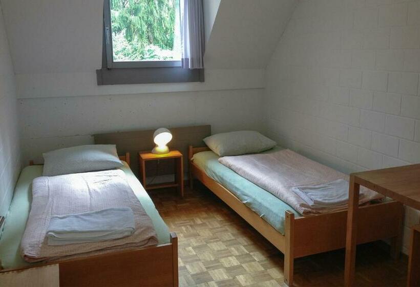 اتاق استاندارد با سرویس بهداشتی مشترک, Luzern Youth Hostel