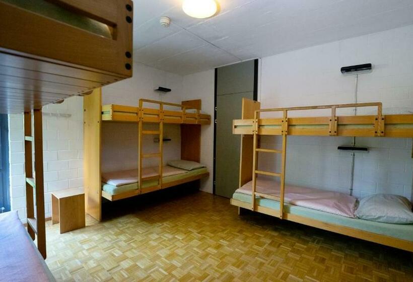 تختخواب در اتاق مشترک, Luzern Youth Hostel