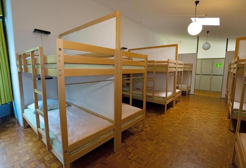 تختخواب در اتاق مشترک, Luzern Youth Hostel