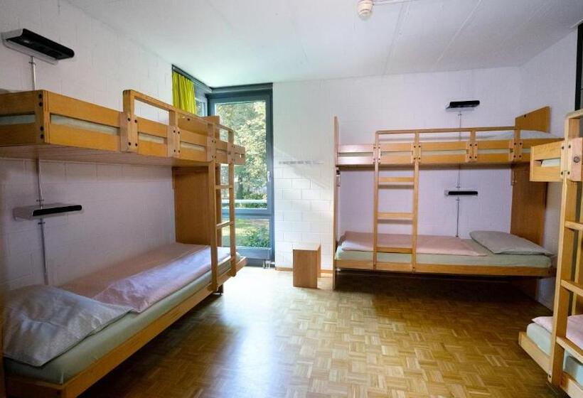 اتاق استاندارد با سرویس بهداشتی مشترک, Luzern Youth Hostel