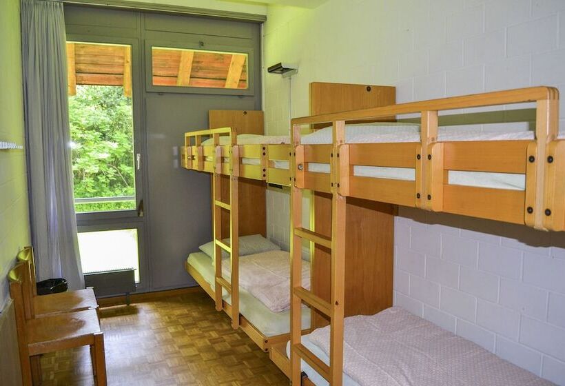 اتاق استاندارد چهارنفره با سرویس بهداشتی مشترک, Luzern Youth Hostel