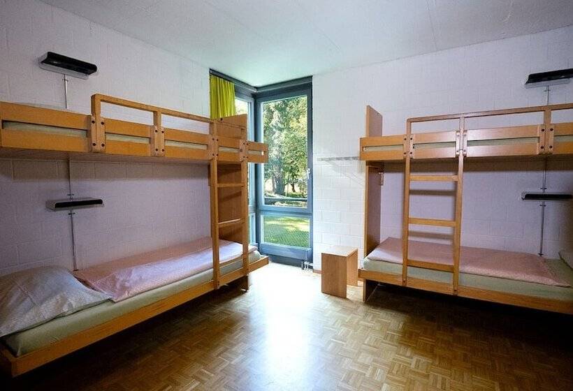اتاق استاندارد با سرویس بهداشتی مشترک, Luzern Youth Hostel