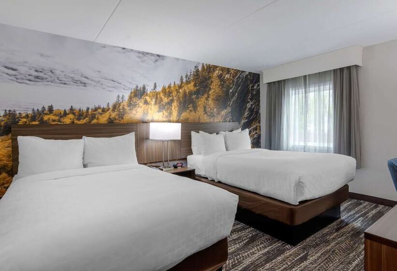 스탠다드 룸 더블 침대 2개, Clarion Pointe Charlottesville