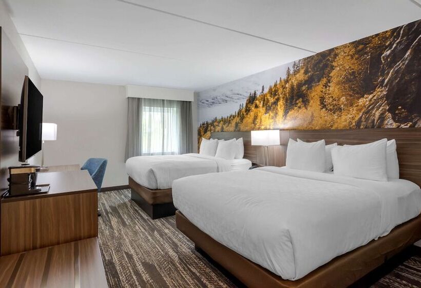 스탠다드 룸 더블 침대 2개, Clarion Pointe Charlottesville