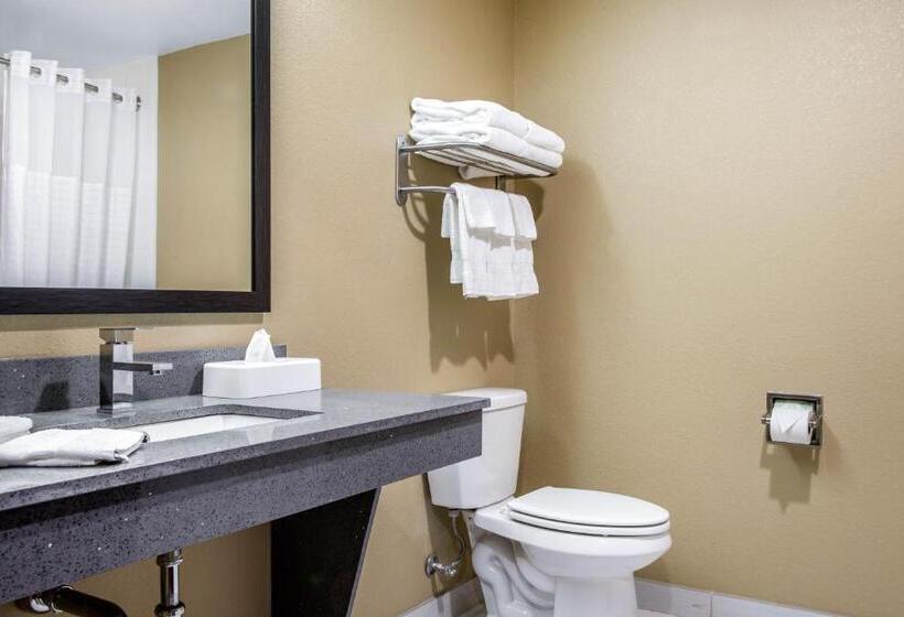 스탠다드 룸, Comfort Inn & Suites Ashland