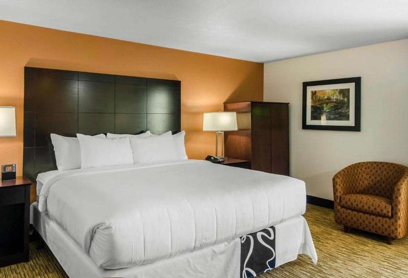 스위트 킹사이즈 침대, Comfort Inn & Suites Ashland