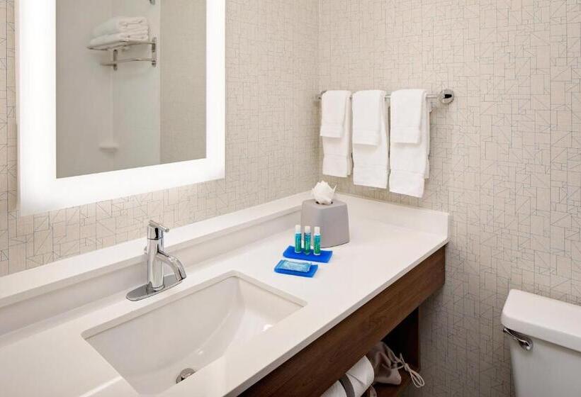 Номер Deluxe Кровать Кинг, Holiday Inn Express   Harrisburg East By Ihg