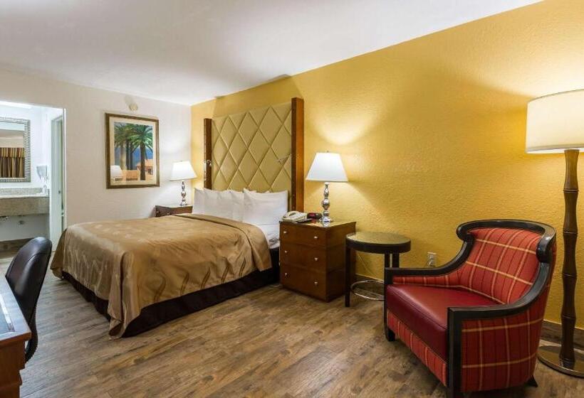 스탠다드 룸 킹사이즈 침대, Quality Inn Florida City  Gateway To The Keys