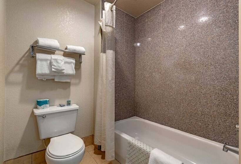 标准间, Best Western Orchard Inn