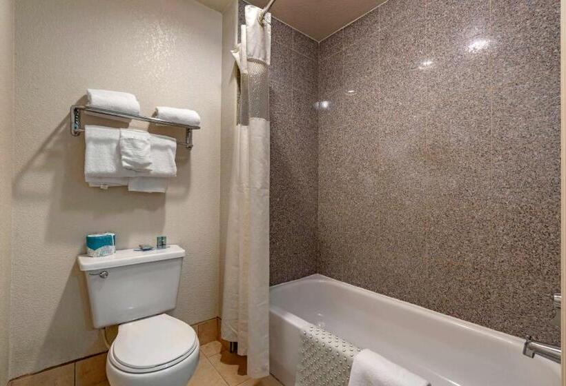 商务房间, Best Western Orchard Inn